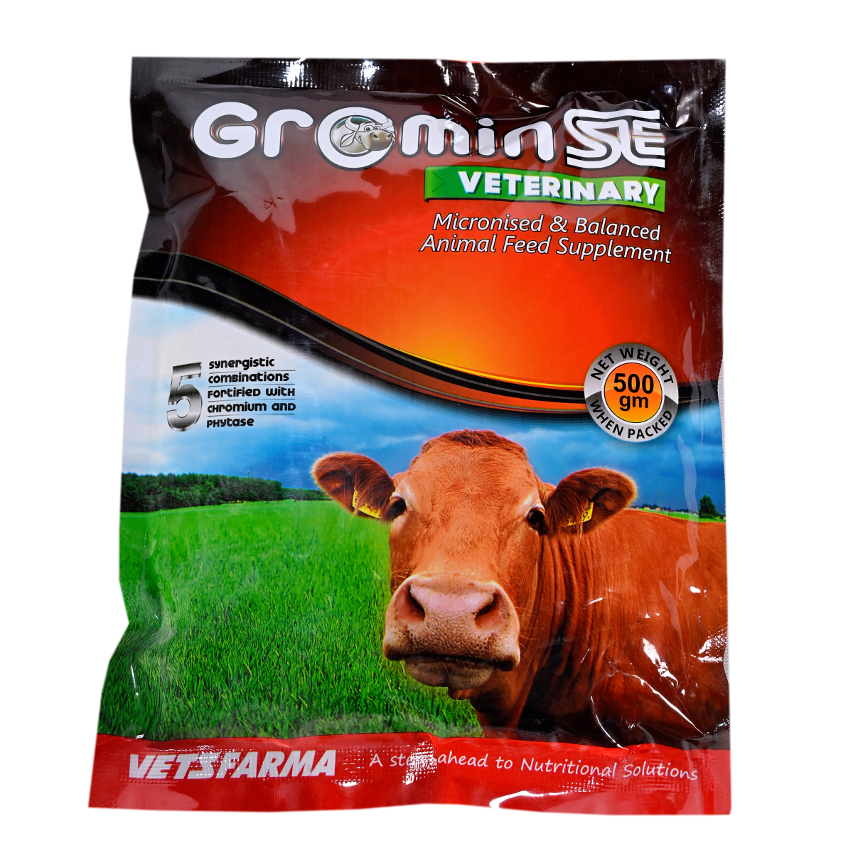 GROMIN-SE - Image 3