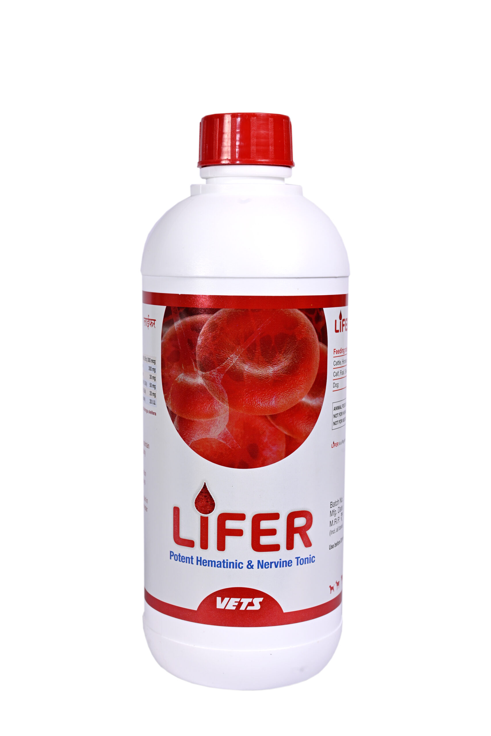 LIFER - Image 5