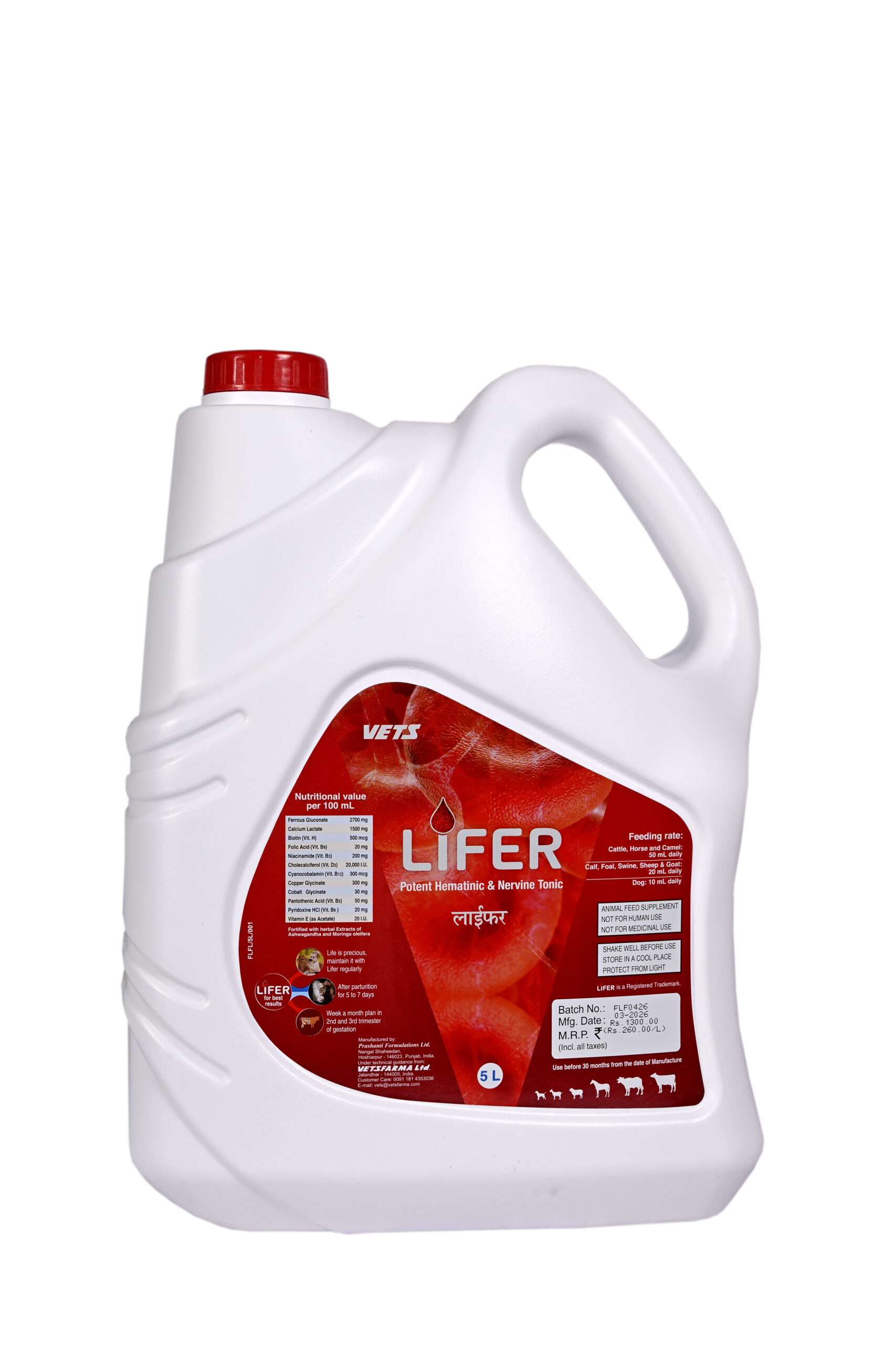 LIFER - Image 4