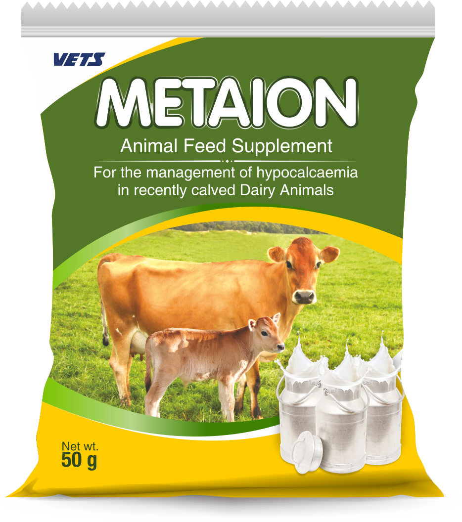 METAION